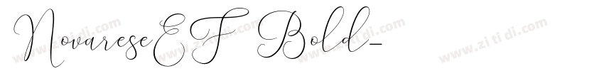 NovareseEF Bold字体转换